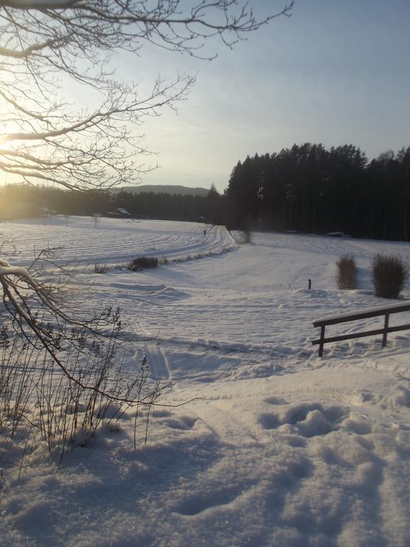 Stuga Hult Vila Hagfors Quarto foto